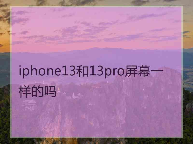 iphone13和13pro屏幕一样的吗