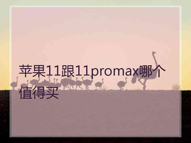 苹果11跟11promax哪个值得买