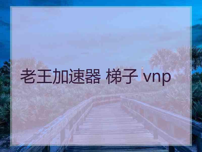 老王加速器 梯子 vnp