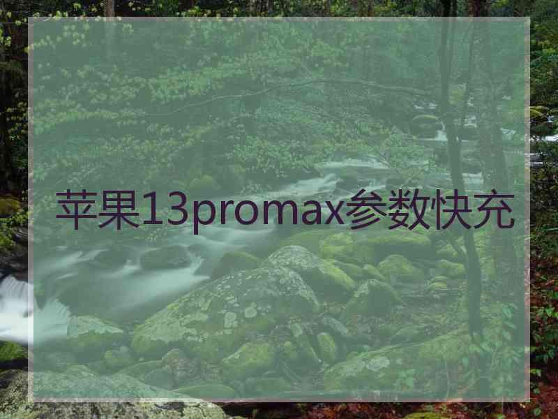 苹果13promax参数快充