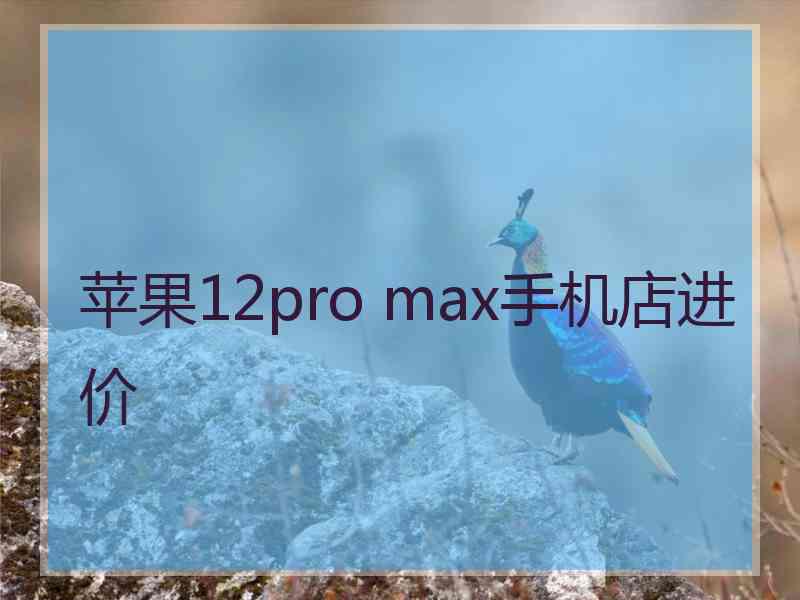 苹果12pro max手机店进价