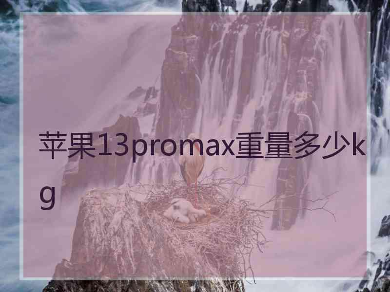 苹果13promax重量多少kg