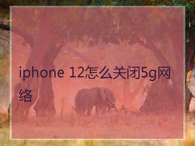 iphone 12怎么关闭5g网络