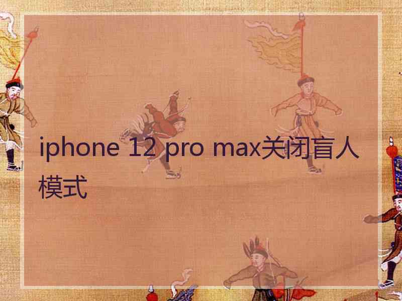 iphone 12 pro max关闭盲人模式