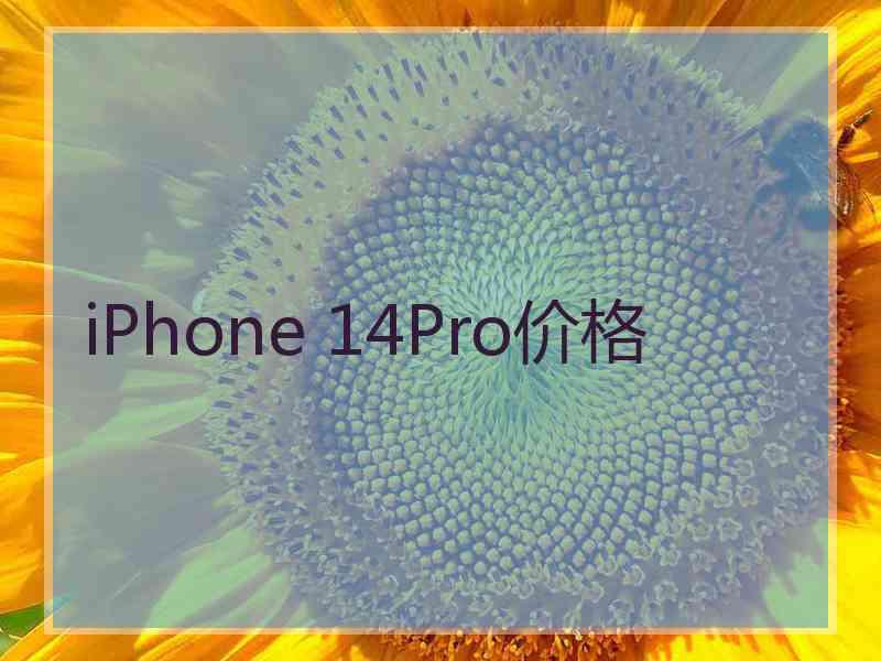 iPhone 14Pro价格