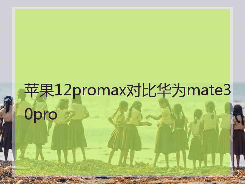 苹果12promax对比华为mate30pro