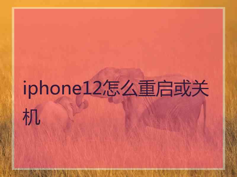 iphone12怎么重启或关机