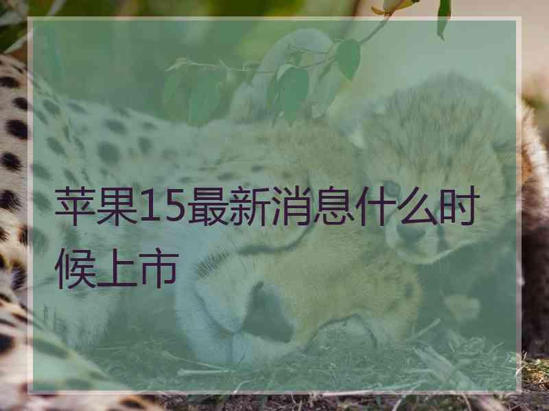 苹果15最新消息什么时候上市