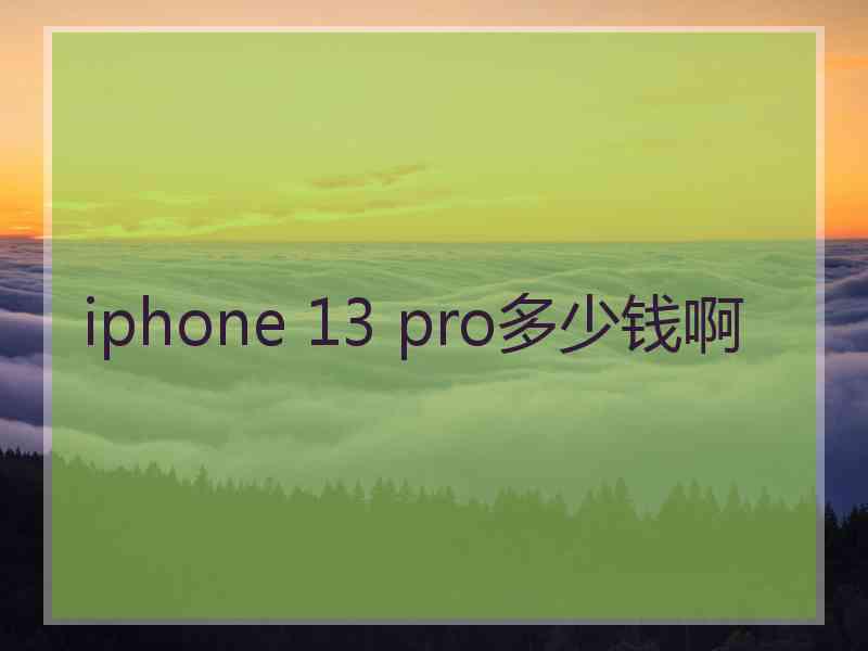 iphone 13 pro多少钱啊