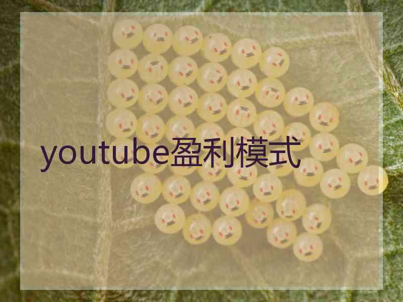 youtube盈利模式