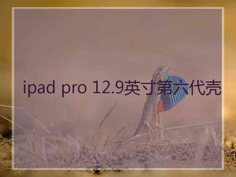 ipad pro 12.9英寸第六代壳