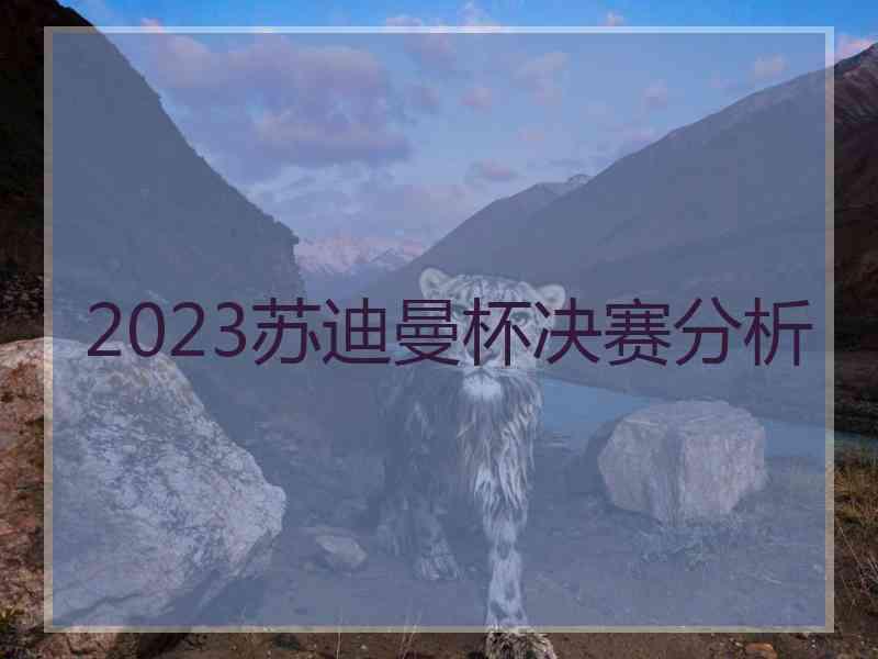 2023苏迪曼杯决赛分析