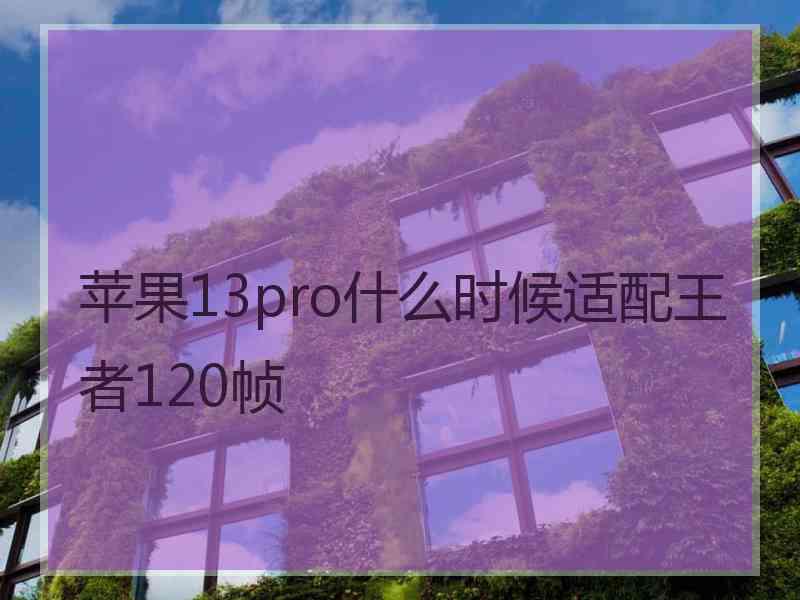 苹果13pro什么时候适配王者120帧