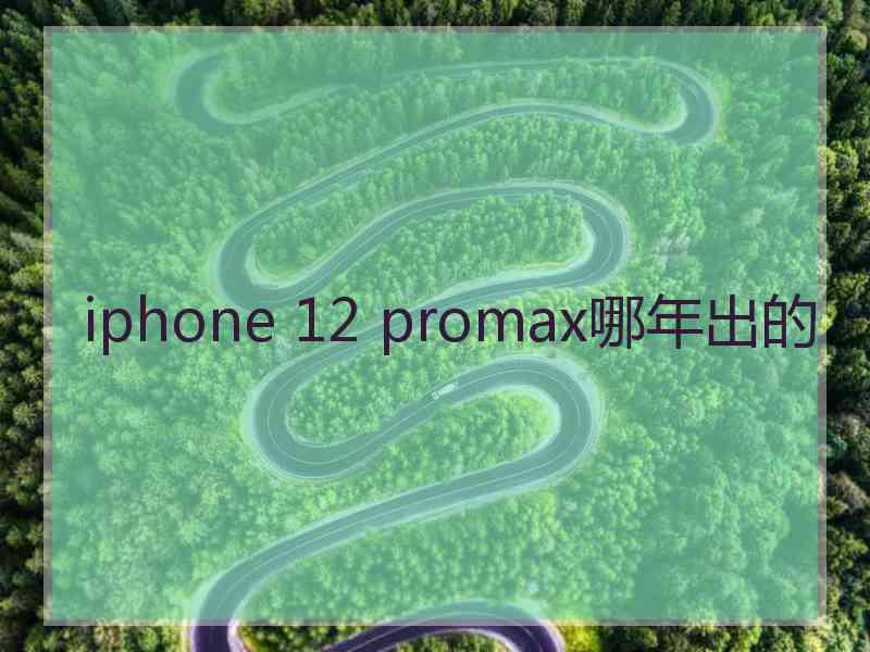 iphone 12 promax哪年出的