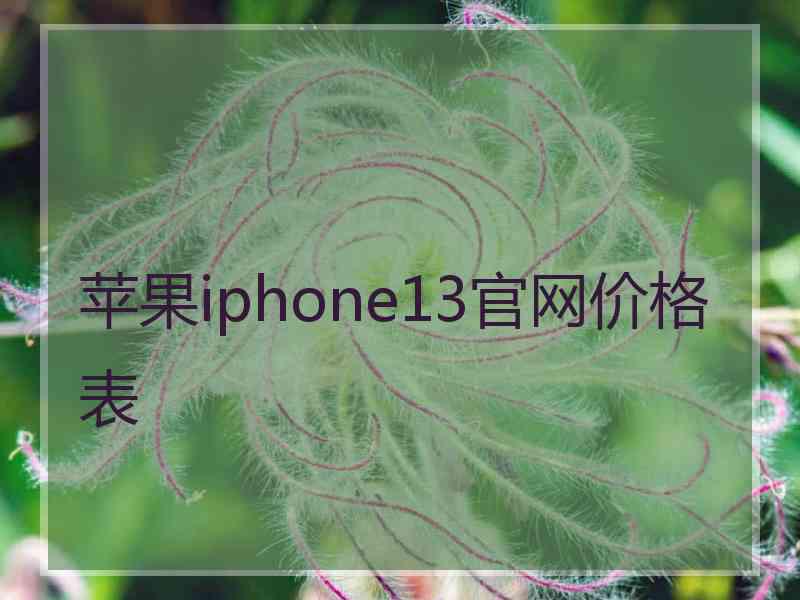 苹果iphone13官网价格表