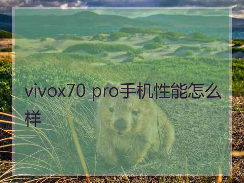 vivox70 pro手机性能怎么样