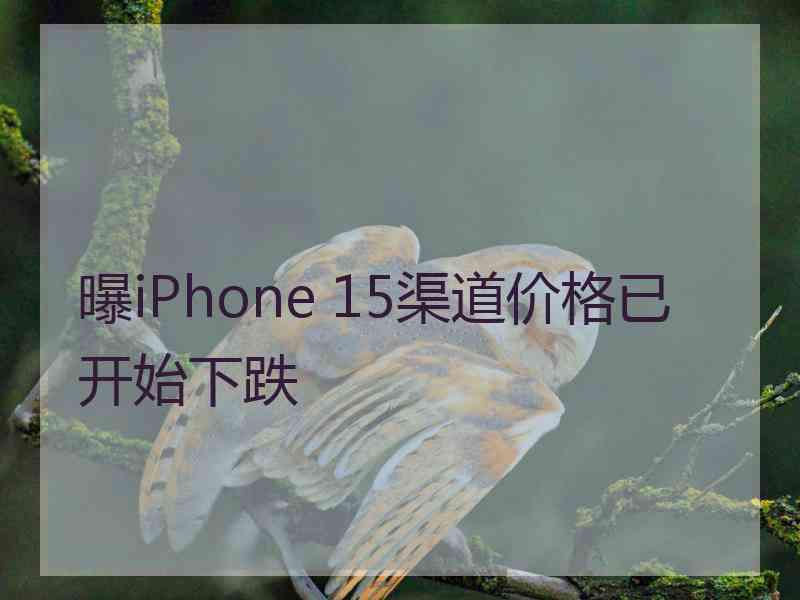 曝iPhone 15渠道价格已开始下跌