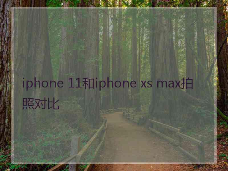 iphone 11和iphone xs max拍照对比