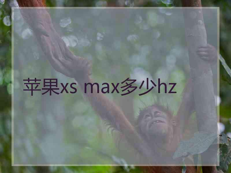 苹果xs max多少hz