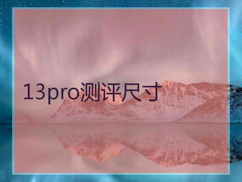 13pro测评尺寸