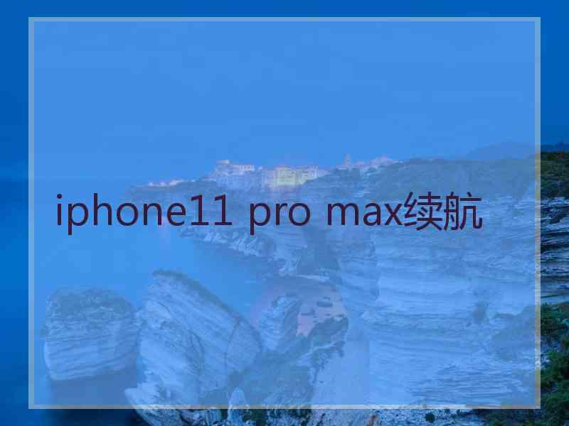 iphone11 pro max续航