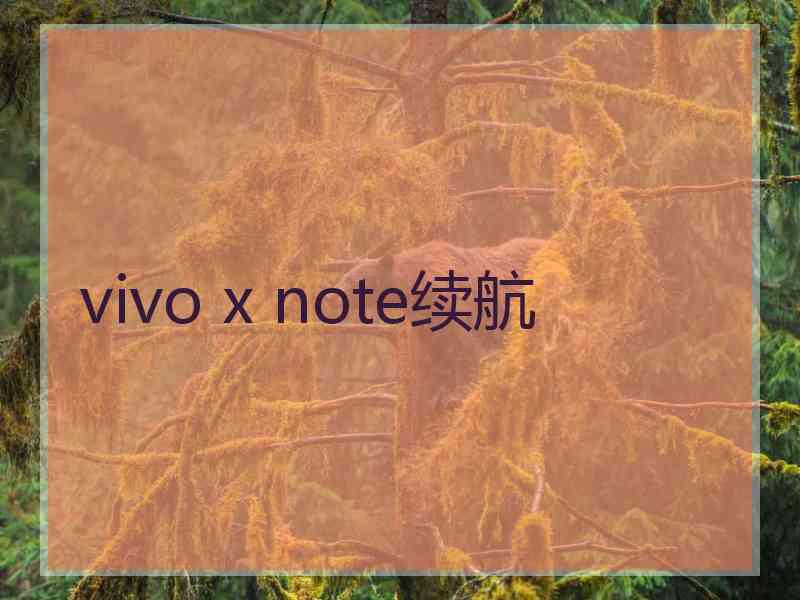 vivo x note续航