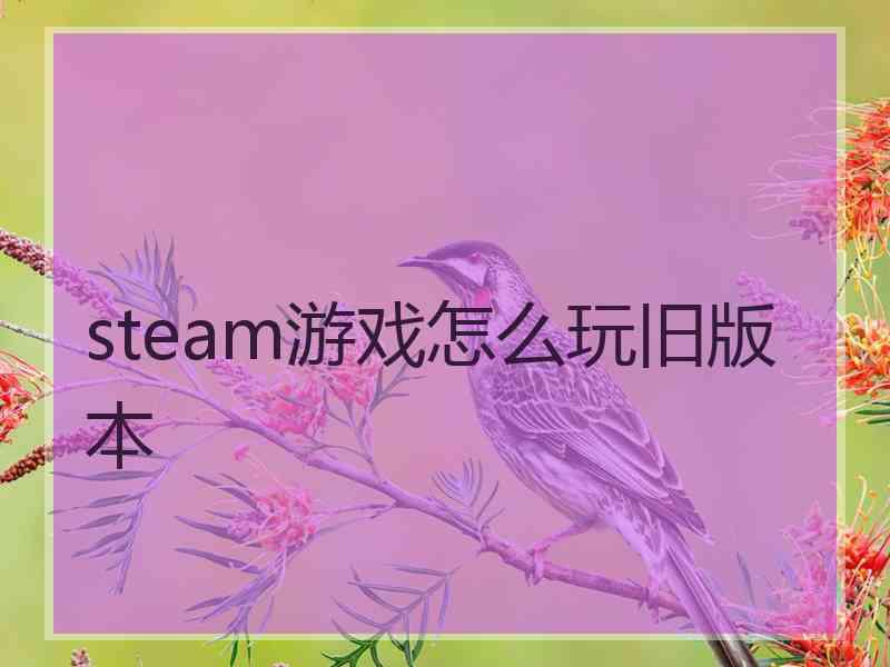 steam游戏怎么玩旧版本