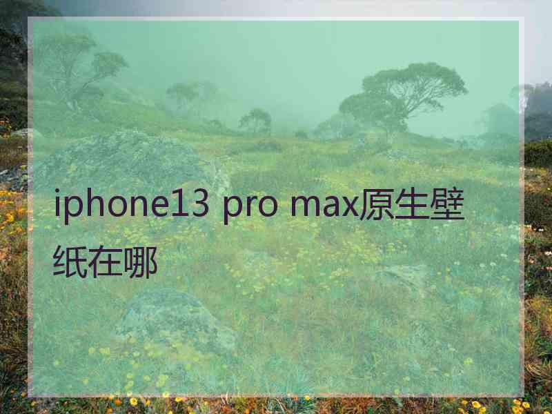 iphone13 pro max原生壁纸在哪