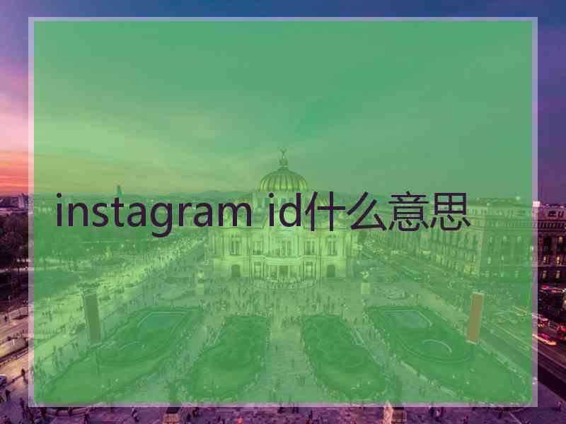 instagram id什么意思