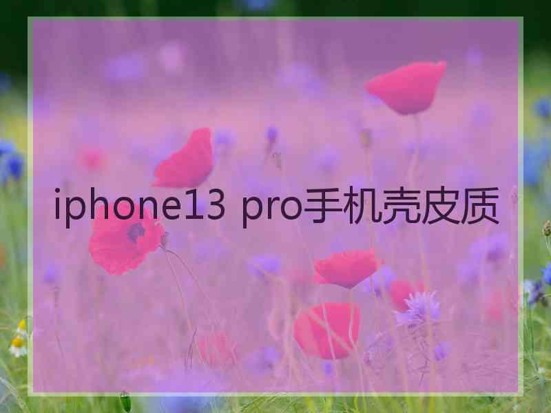 iphone13 pro手机壳皮质