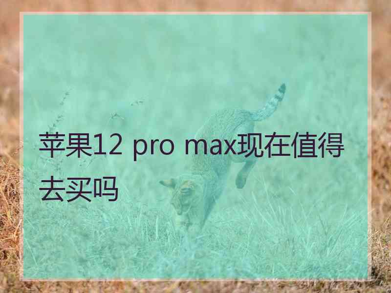 苹果12 pro max现在值得去买吗