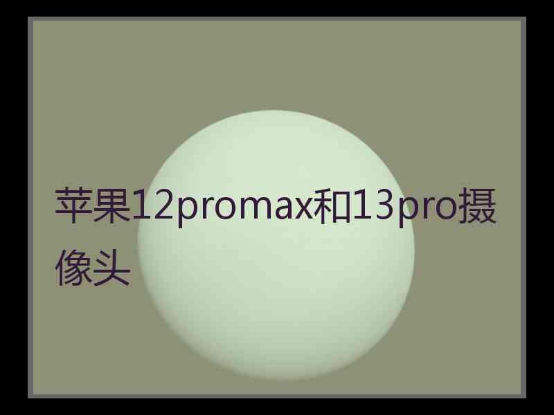 苹果12promax和13pro摄像头