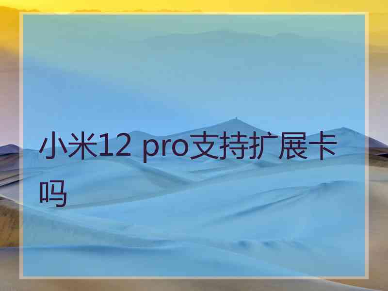 小米12 pro支持扩展卡吗