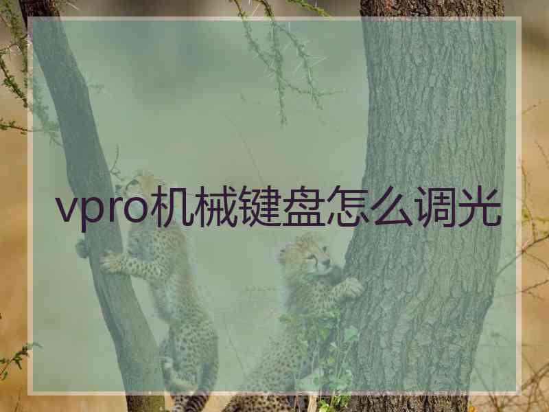 vpro机械键盘怎么调光