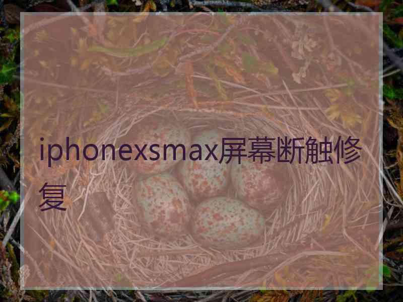 iphonexsmax屏幕断触修复