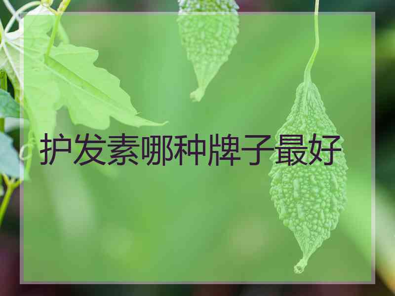 护发素哪种牌子最好