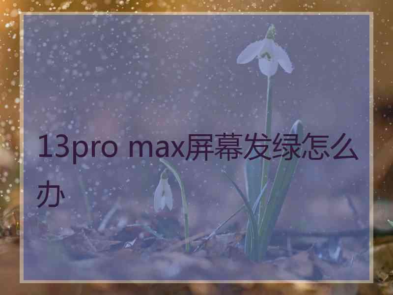 13pro max屏幕发绿怎么办