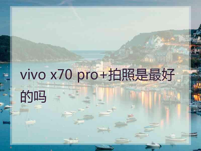 vivo x70 pro+拍照是最好的吗