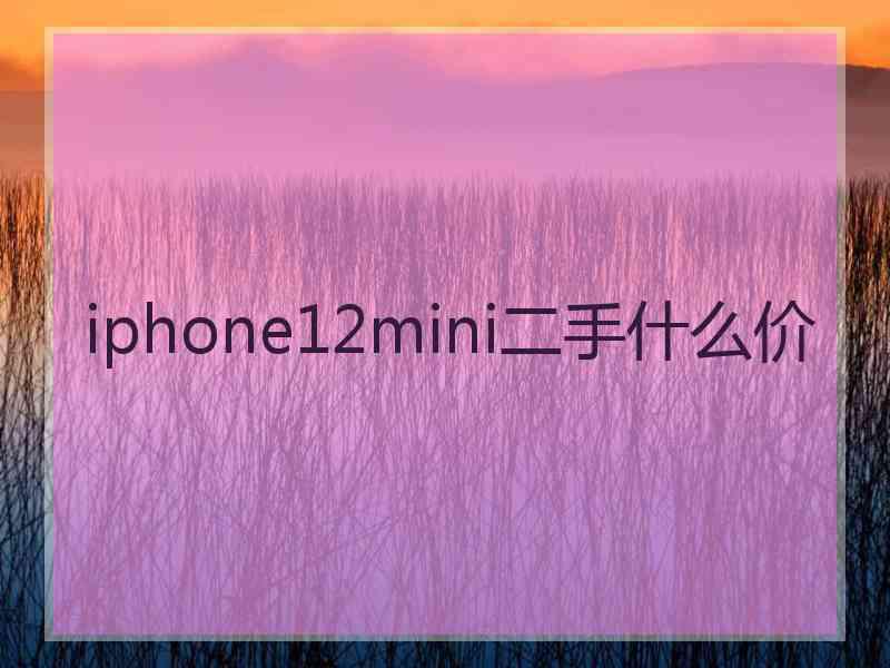 iphone12mini二手什么价