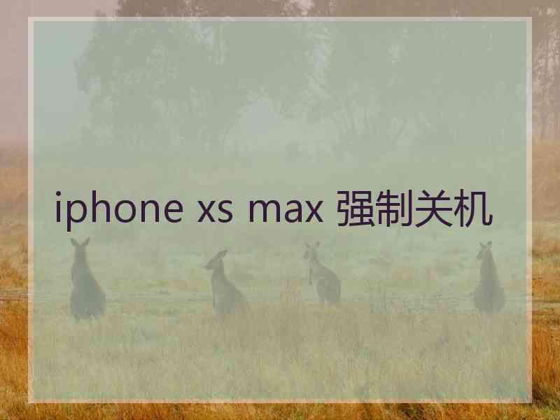 iphone xs max 强制关机