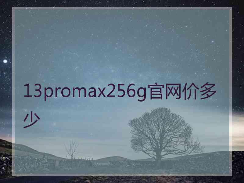 13promax256g官网价多少