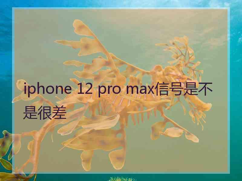 iphone 12 pro max信号是不是很差