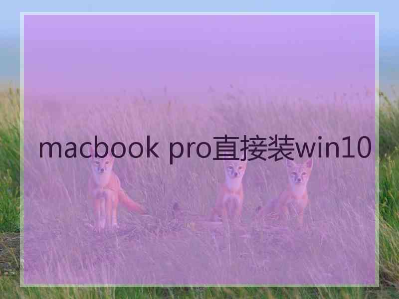 macbook pro直接装win10