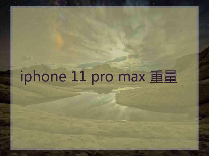 iphone 11 pro max 重量