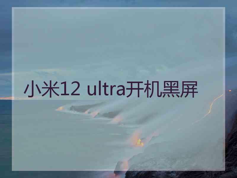 小米12 ultra开机黑屏