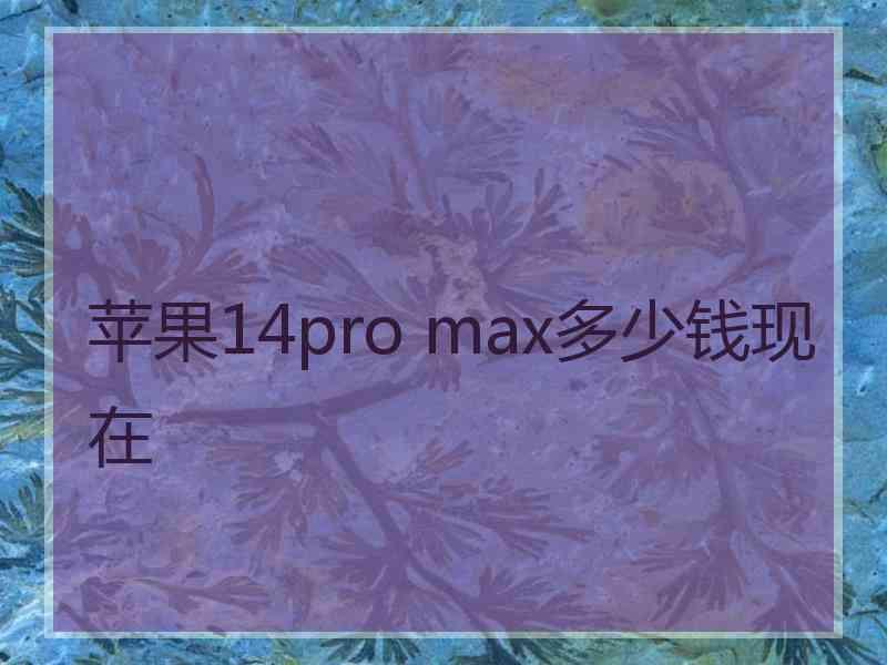 苹果14pro max多少钱现在