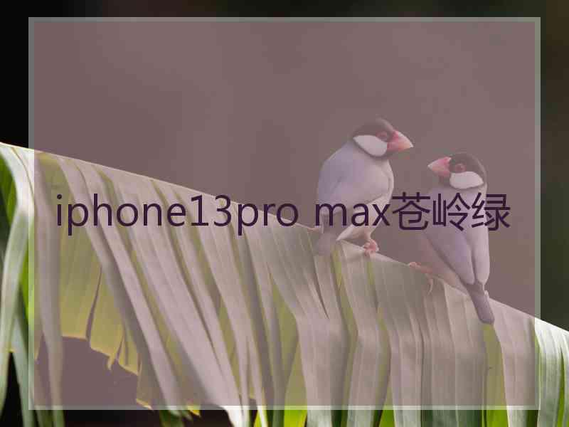 iphone13pro max苍岭绿