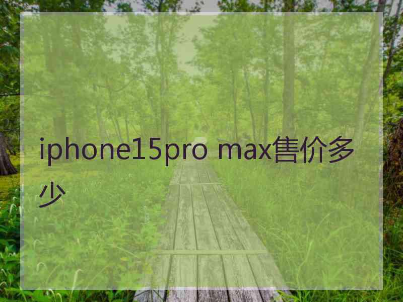 iphone15pro max售价多少