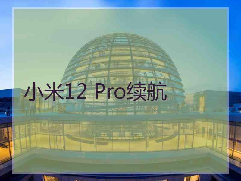 小米12 Pro续航