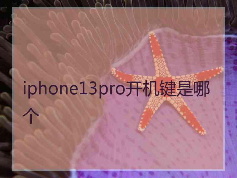 iphone13pro开机键是哪个